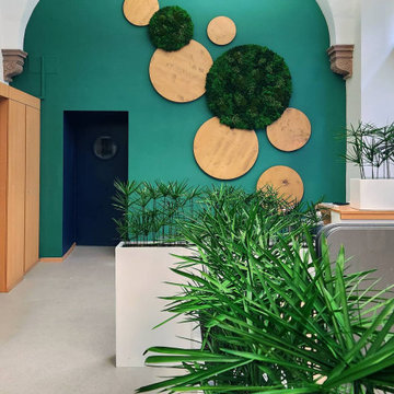 Aménagement et décoration végétaux stabilisés / espace de coworking
