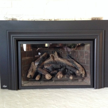 Enviro Gas Insert