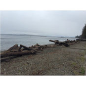 Levon Williams's photo