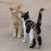 Joellen Altman's photo