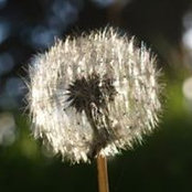 K.C. Meagher's photo