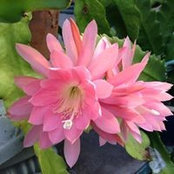 Rita Taucher's photo