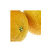 Orange Tachibanさんの写真