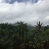 Emely Rivas's photo