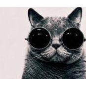 Foto von Руслан Шаламов