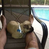 Joe Grosso's photo