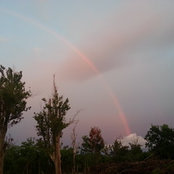 Sara Richards's photo