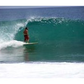 Peter Silvera's photo