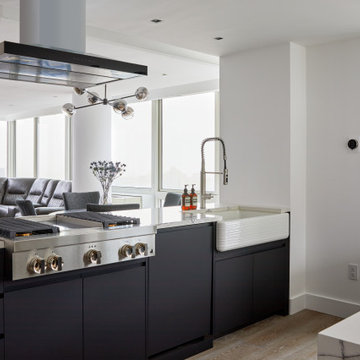 Yorkville Apartment Combination
