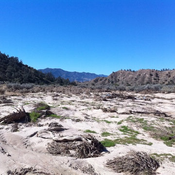 Flood Zone