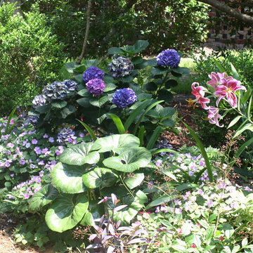 Garden in Pawleys Island, SC
