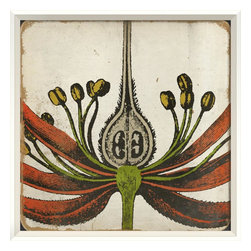 The Artwork Factory - Vintage Color Flower I Framed Artwork - Prints And Posters