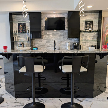 Modern Highlands Ranch Finished Basement by Brothers