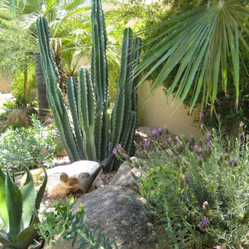 T& D Gardening Inc. Portfolio