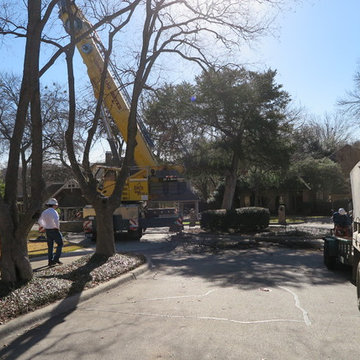 Not Your Everyday Removal in McKinney