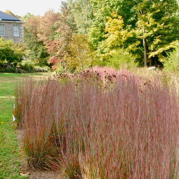 Native Meadow