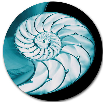 Chambered Nautilus Shell, Abstract Art Large Disc Metal Wall Art, 11"