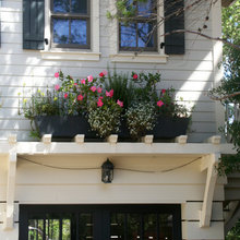 Exterior Ideas