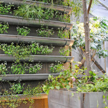 Landscape Ideas