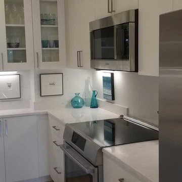 DC Apartment Remodel