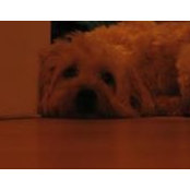 Holly Wallace's photo
