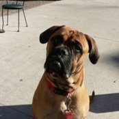 Colleen Benner's photo