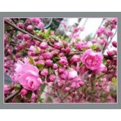 зорница андреева's photo