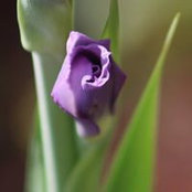 Marilyn Craig's photo