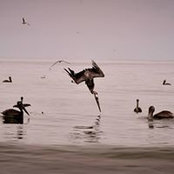 Max Sharp's photo