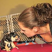 Heather Virgilio's photo