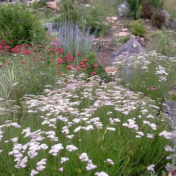 Contemporary Foothills Water Feature