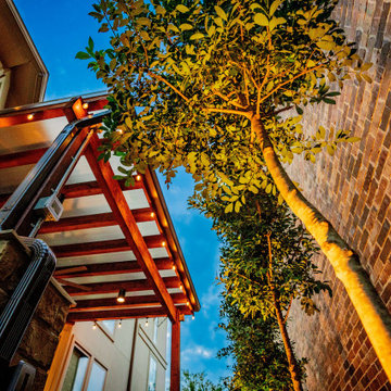 Side Yard Mastery | Maximizing Space in Carrolton