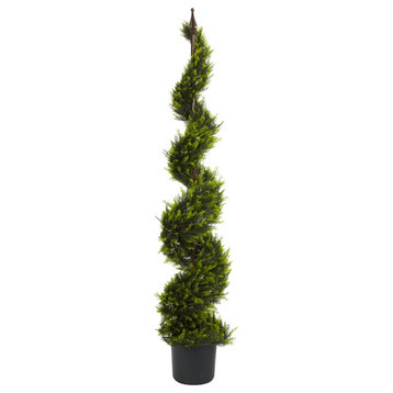 5' Cypress Spiral Tree