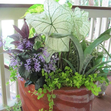 Container Gardening