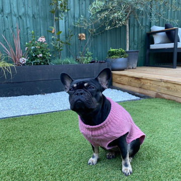 Wimbledon - Artificial Grass Installation (Pet-friendly)