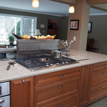 Island with cooktop and downdraft