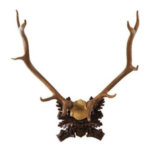 large reindeer antlers