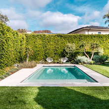 backyard3