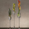 Single Stem Clear Glass Vase, 20" Tall