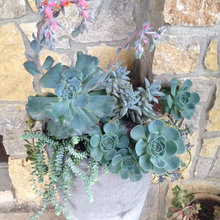 container garden