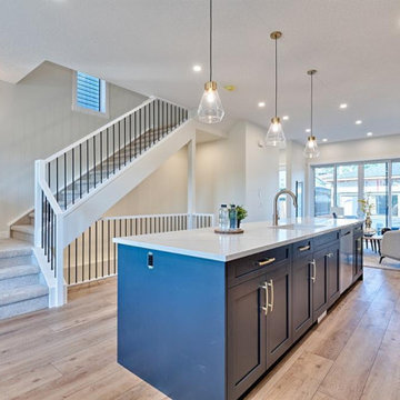 sorensen duplex
