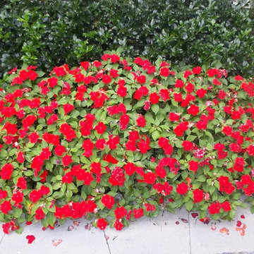 Landscape Design & Construction Projects