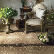 Carpet Thoughts
