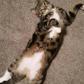 Linda Rose's photo