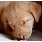 Kim Timmons Siegel's photo