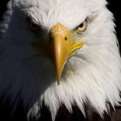 Jennifer Sergio's photo