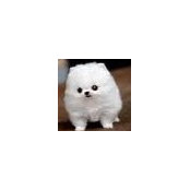 Foto de Mal West