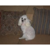 Brandy Evans's photo