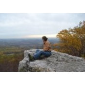 Cheryl Desmond's photo