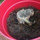 timmins_cindy